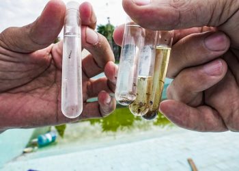 Foz do Iguaçu entra em situação de epidemia de dengue