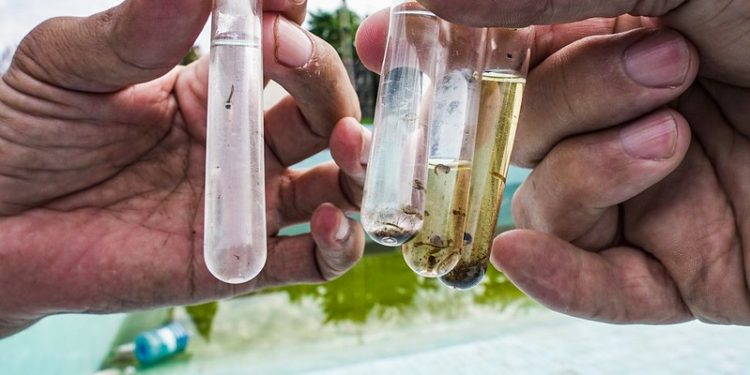 Foz do Iguaçu entra em situação de epidemia de dengue