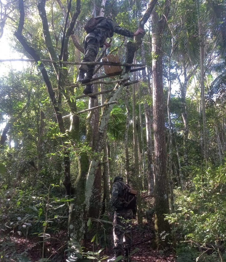 Locais de caça são encontrados dentro do Parque Nacional
