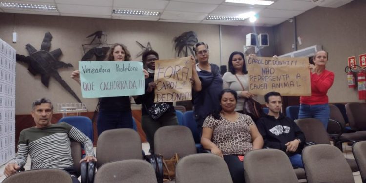 Protetora Carol diz que denúncias são ataques políticos