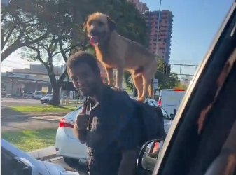 Cantor Zé Neto grava vídeo com morador de rua em Foz que levava cão às costas