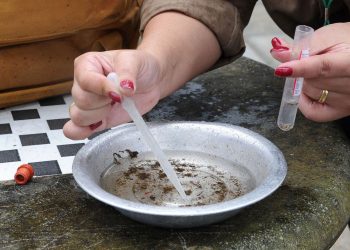 Paraná registra mais nove óbitos por dengue