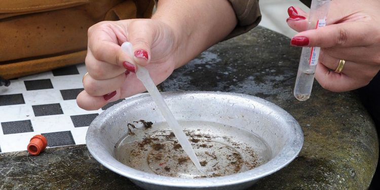Paraná registra mais nove óbitos por dengue
