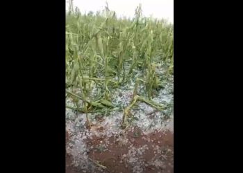 Chuva de granizo destrói plantações no Paraguai