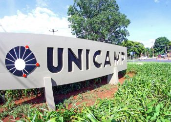 Canabinoides podem auxiliar no tratamento de doenças neurológicas