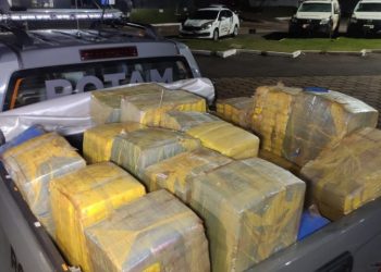 Homem é preso com quase uma tonelada de droga em Vera Cruz do Oeste