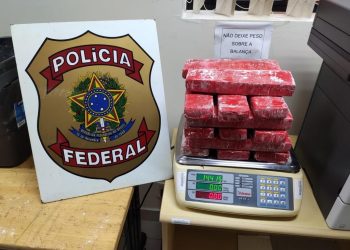 Maconha é apreendida em bagagem de ônibus em Foz