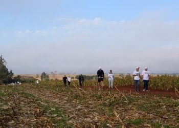 Tradicional Festa do Colono será no dia 7 de agosto, no Recanto Balneário