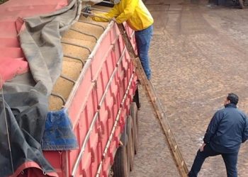 Auditores do Mapa retomam atividades no porto de Cidade do Leste, no Paraguai