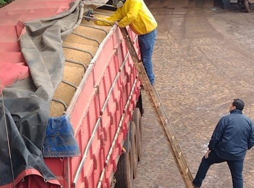 Auditores do Mapa retomam atividades no porto de Cidade do Leste, no Paraguai