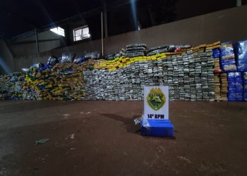 Polícia Militar apreende mais de 1 tonelada de maconha no Bairro Três Lagoas