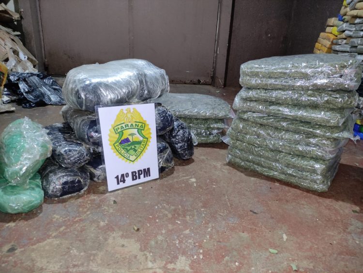 Polícia Militar apreende mais de 1 tonelada de maconha no Bairro Três Lagoas