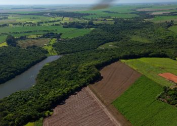 Itaipu e parceiros celebram 20 anos do Corredor Ecológico Santa Maria