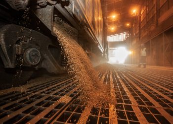 Volume de cargas do modal ferroviário cresce 6,4% nos portos do Paraná