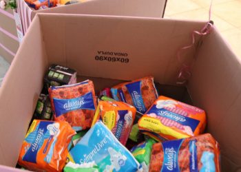 Deputados paranaenses solicitam redução do ICMS sobre absorventes femininos