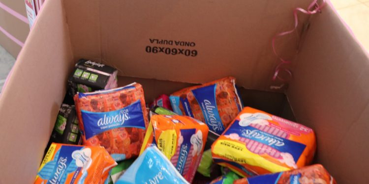 Deputados paranaenses solicitam redução do ICMS sobre absorventes femininos