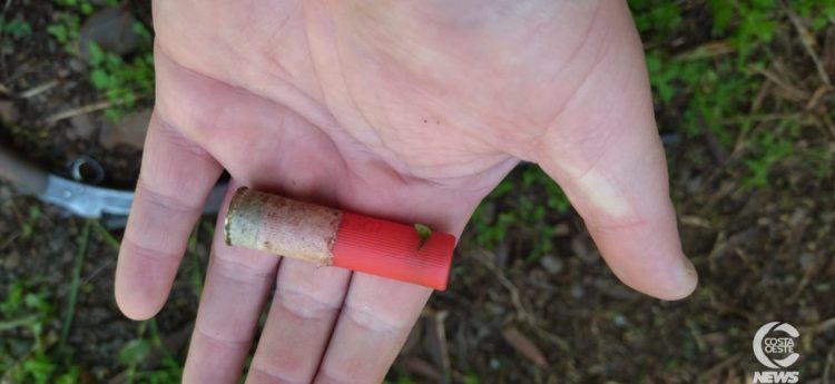 Homem é preso por porte ilegal de arma de fogo e caça