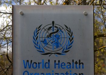 Surto de varíola dos macacos pode ser interrompido, diz OMS