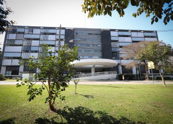 Denúncias sobre tráfico de pessoas podem ser feitas por site e pelo número 181