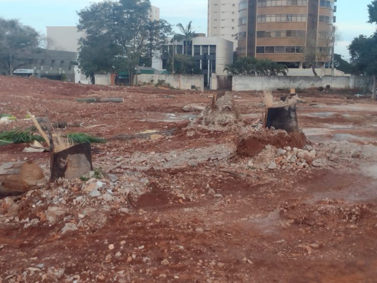 IAT liberou corte de araucárias do terreno da antiga Santa Casa