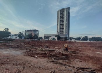 IAT liberou corte de araucárias do terreno da antiga Santa Casa