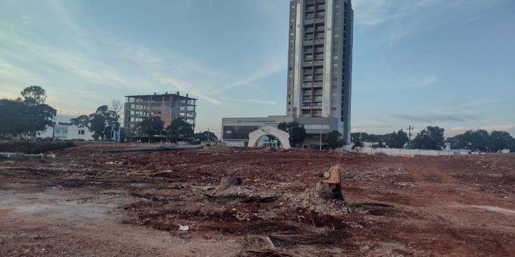 IAT liberou corte de araucárias do terreno da antiga Santa Casa