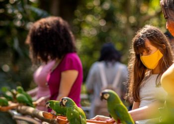 A partir do dia 1° de agosto, Parque das Aves fica fechado nas segundas-feiras