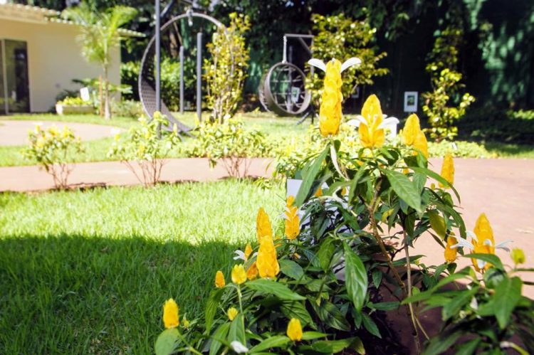 Jardim da Oma abre para visitação do público
