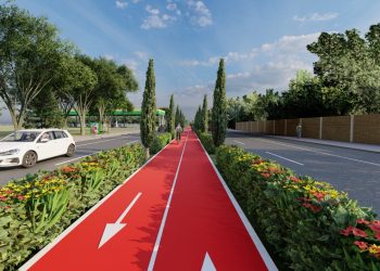 Meio Ambiente inicia paisagismo no canteiro da avenida General Meira