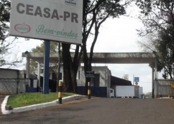 Produtos de Ceasa em Foz do Iguaçu tem variação de preço