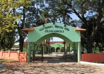 Projeto propõe Bolsa Agro Estudantil para alunos de colégios agrícolas do Paraná