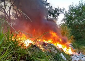 Queimar lixo em casa é crime sujeito a multa e detenção