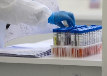 Paraná confirma primeiro caso da varíola do macaco