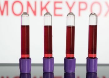 Primeiras vacinas contra varíola dos macacos devem chegar em setembro