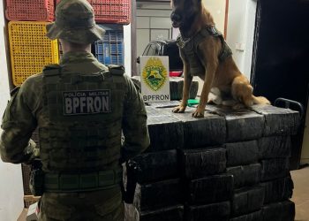 BPFRON apreende uma tonelada de droga em Santa Helena