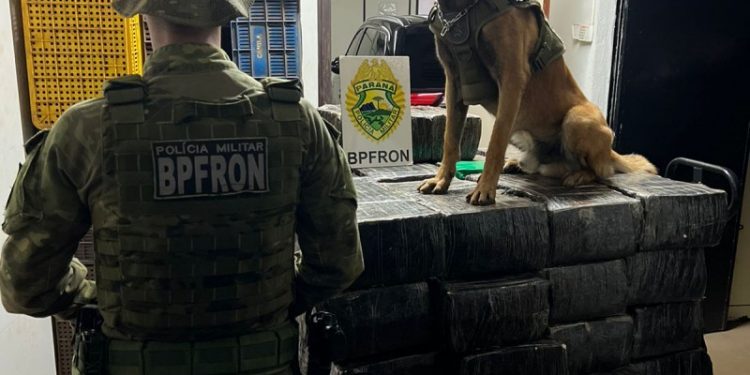 BPFRON apreende uma tonelada de droga em Santa Helena