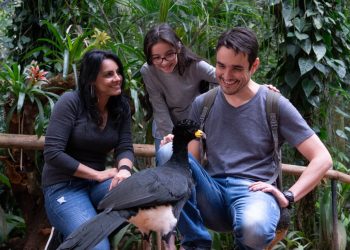 Parque das Aves tem o melhor movimento mensal desde o início da pandemia