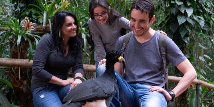 Parque das Aves tem o melhor movimento mensal desde o início da pandemia