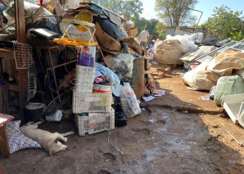 UNILA e CCZ realizam mapeamento de residências de acumuladores em Foz