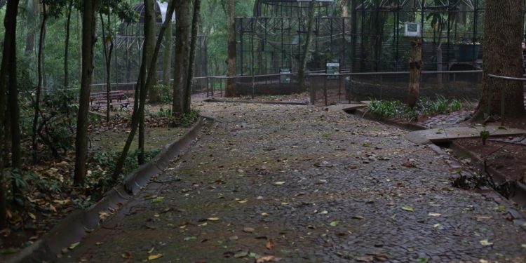 Revitalização do Bosque Guarani começa nos próximos dias