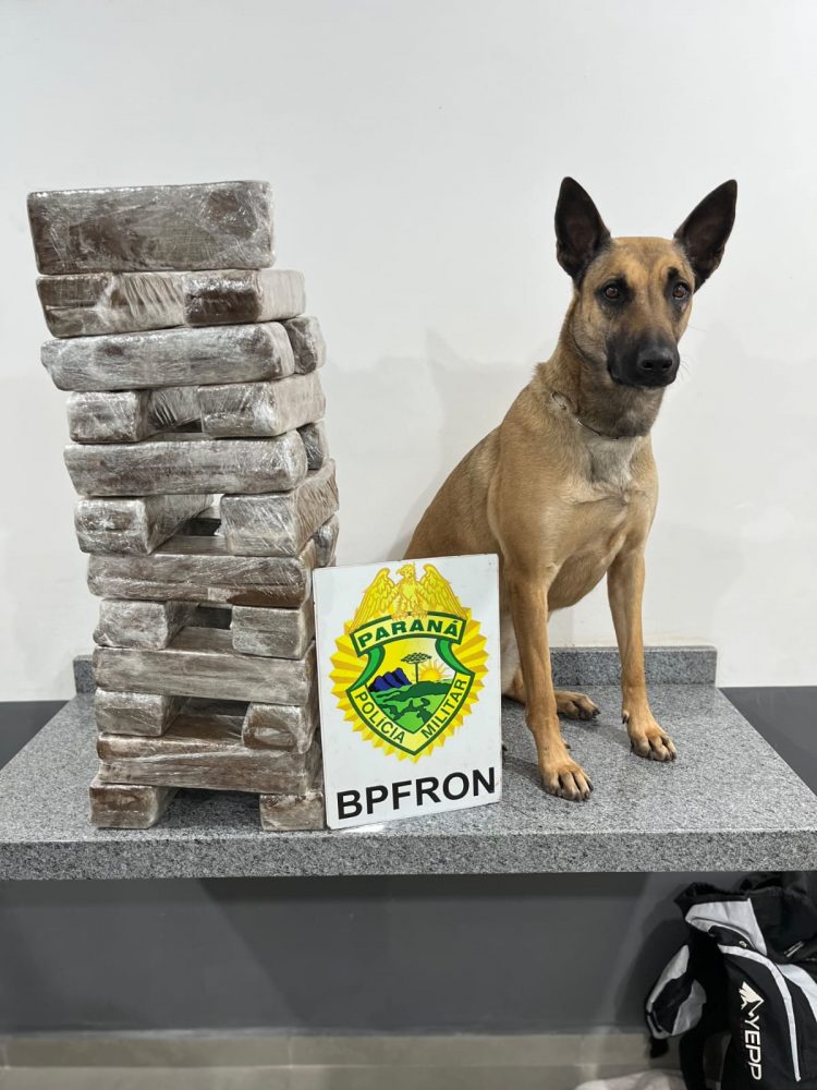 BPFRON supera número de apreensões de 2021 em oito meses de serviço