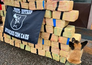 BPFRON supera número de apreensões de 2021 em oito meses de serviço