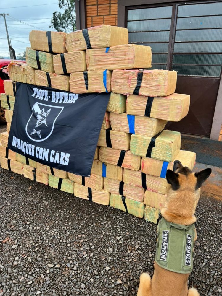 BPFRON supera número de apreensões de 2021 em oito meses de serviço