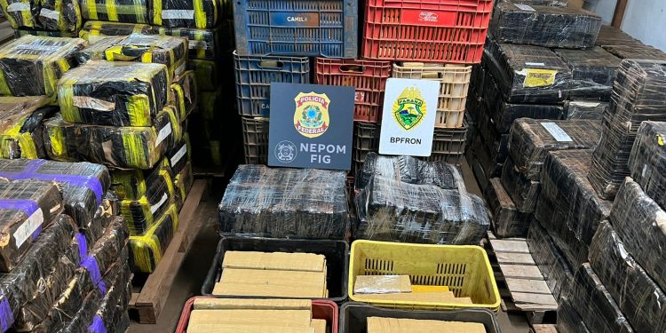 Meia tonelada de maconha é apreendida em Foz do Iguaçu
