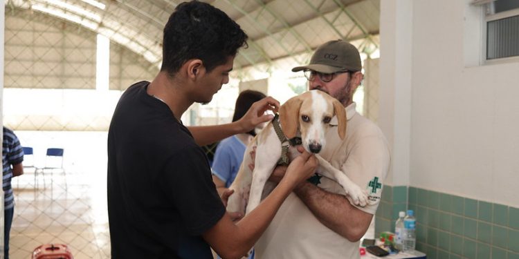 Castramóvel estará na sede da Guarda Mirim nesta quarta-feira (31)