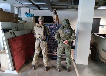 Forças de Segurança apreendem carregamento de 1 tonelada de maconha