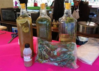 Na cultura Guarani, tomar o “carrulim” espanta os males de agosto