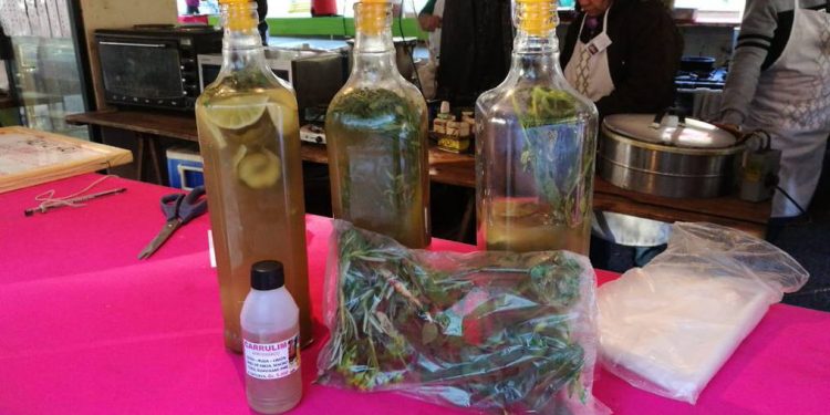 Na cultura Guarani, tomar o “carrulim” espanta os males de agosto