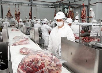 Paraguai exportou mais de 26 mil toneladoas de carne bovina ao Brasil, em 2022