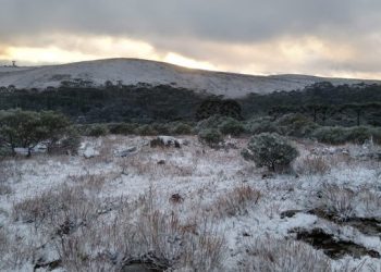 Neve nas primeiras horas da primavera branqueia paisagem no sul do Brasil